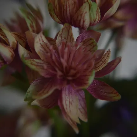 Bed & Breakfast Al Golfo