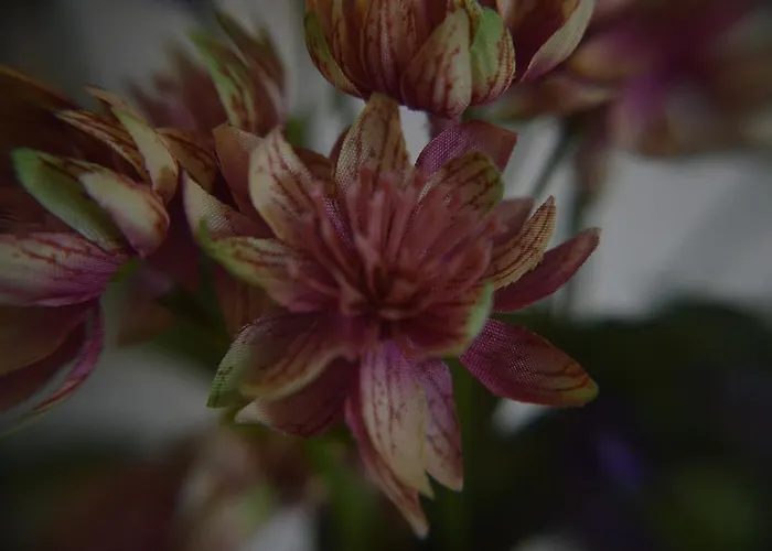 Bed and Breakfast Al Golfo